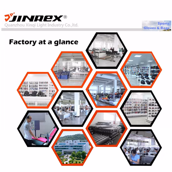 Sports, plein air, sac de vélo, sac de vélo, sac de vélo, sac de sacoche (jb12g093)